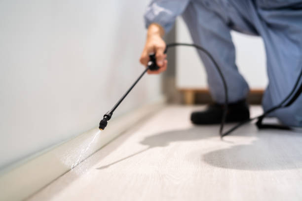 Licensed Termite Control service in Vian, OK - Nex Pest Control
