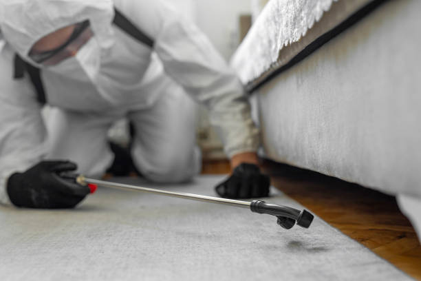 Professional Termite Control technician working in Vian, OK