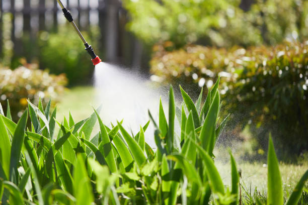 24/7 Emergency Termite Control experts in Vian, OK