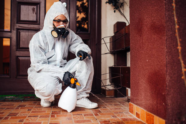Reliable Termite Control contractor in Vian, OK by Nex Pest Control