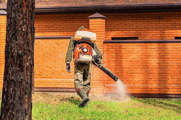Top rated local Termite Control specialists in Vian, OK